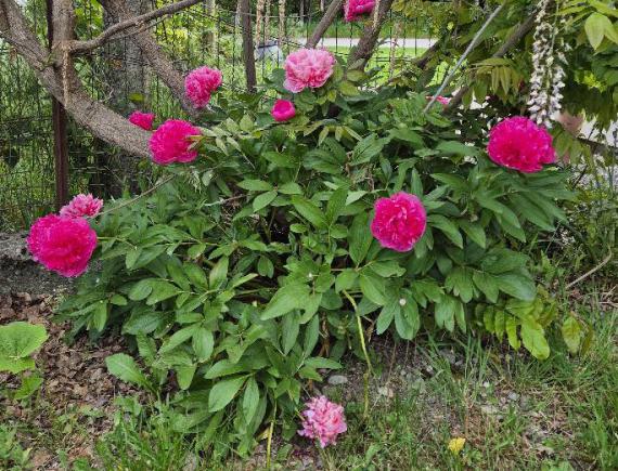 Louer votre gîte pour le printemps