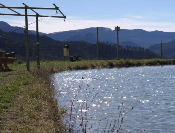 Ouverture du lac de pêche !