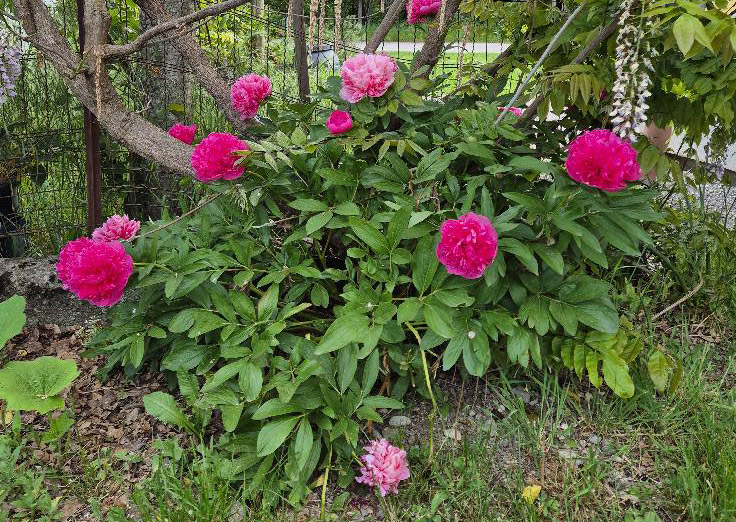 Louer votre gîte pour le printemps