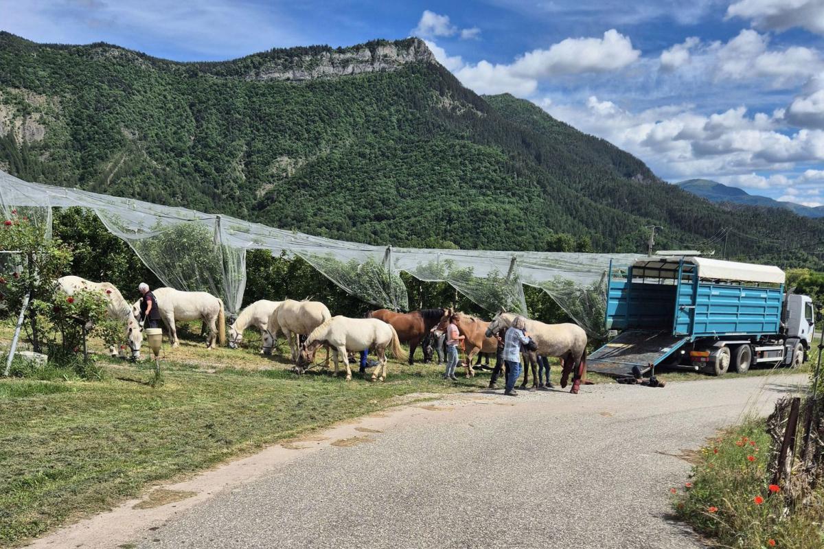 Randonnées à cheval